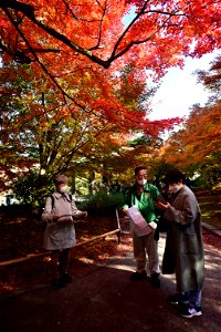 京都宇治平等院鳳凰堂 / Byodoin Hoohdo temple in Kyoto