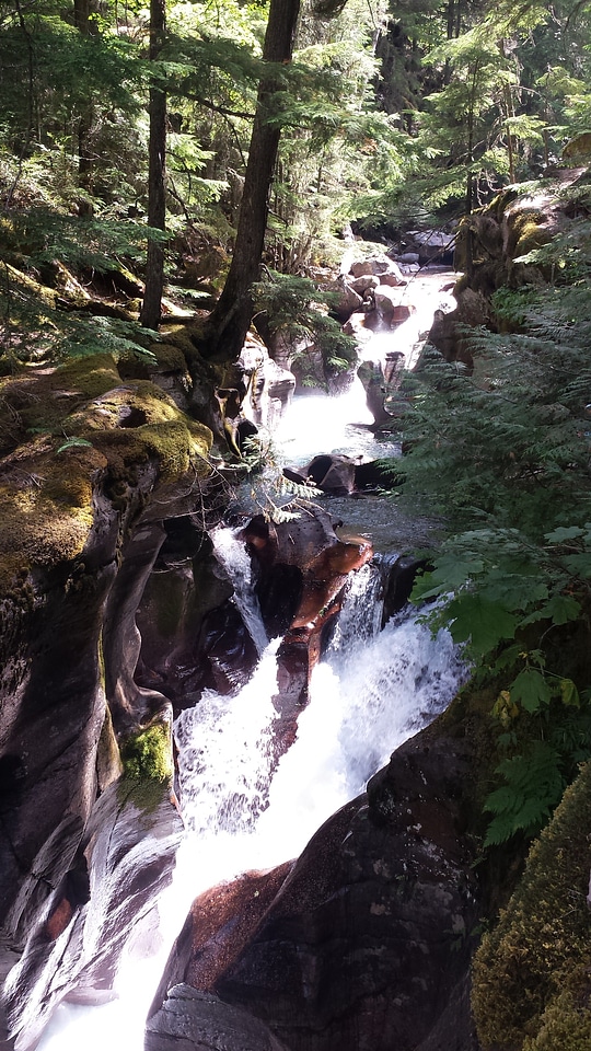 Beautiful turquoise blue water flowing in Glacier National Park photo