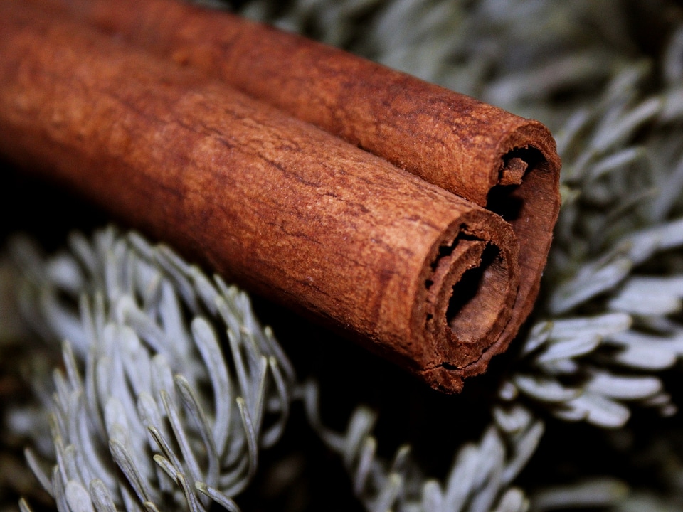 cinnamon sticks laying in a pile