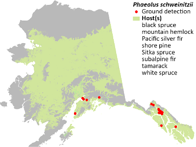 Phaeolus-schweinitzii-detection-map-2022-Alaska