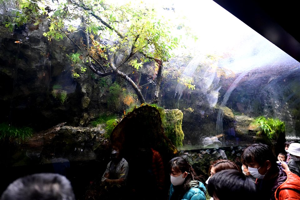 京都水族館 / Kyoto Aquarium