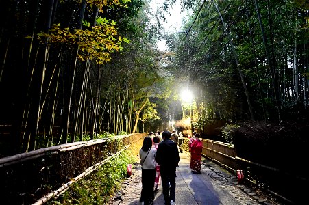 嵐山と竹林の小径 / Kyoto Arashiyama and Bamboo forest path photo