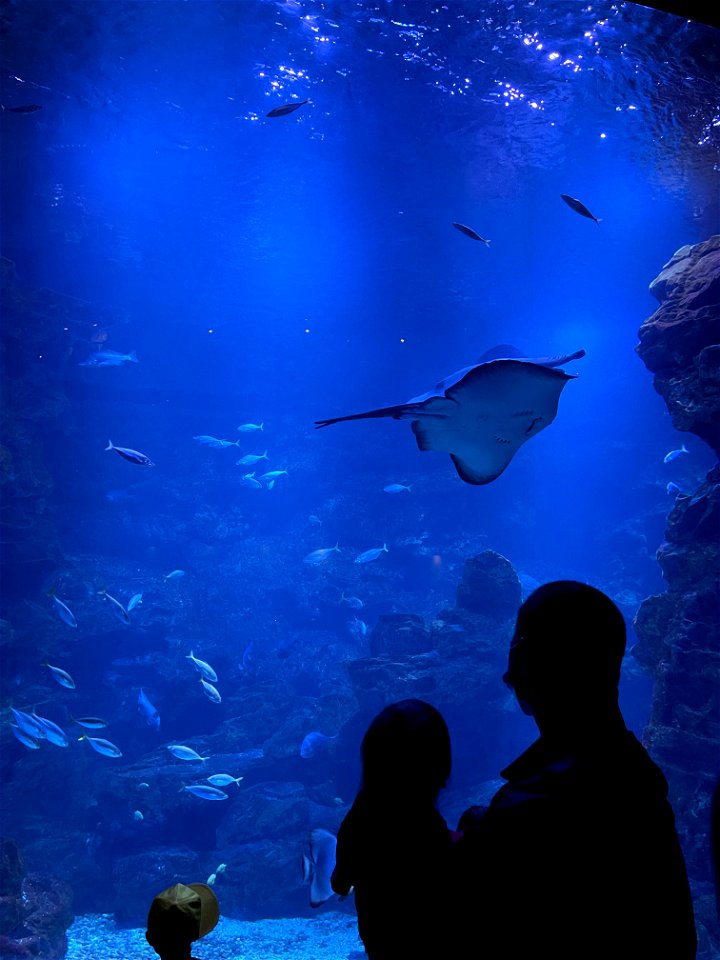 京都水族館 / Kyoto Aquarium