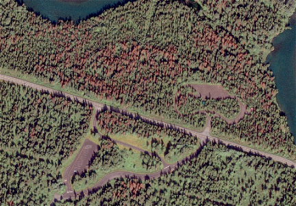 High-resolution-satellite-imagery-spruce-beetle-damage-K’Beq’ Interpretive-site-Chugach