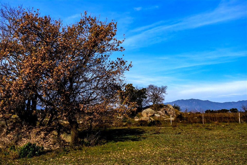 09-02-2019 Alba des de La Gutina