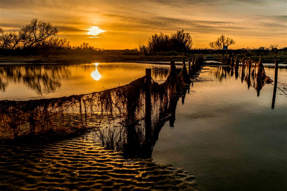 29-01-2020 Platja de Sant Pere Pescador