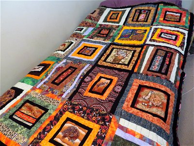 New Quilt