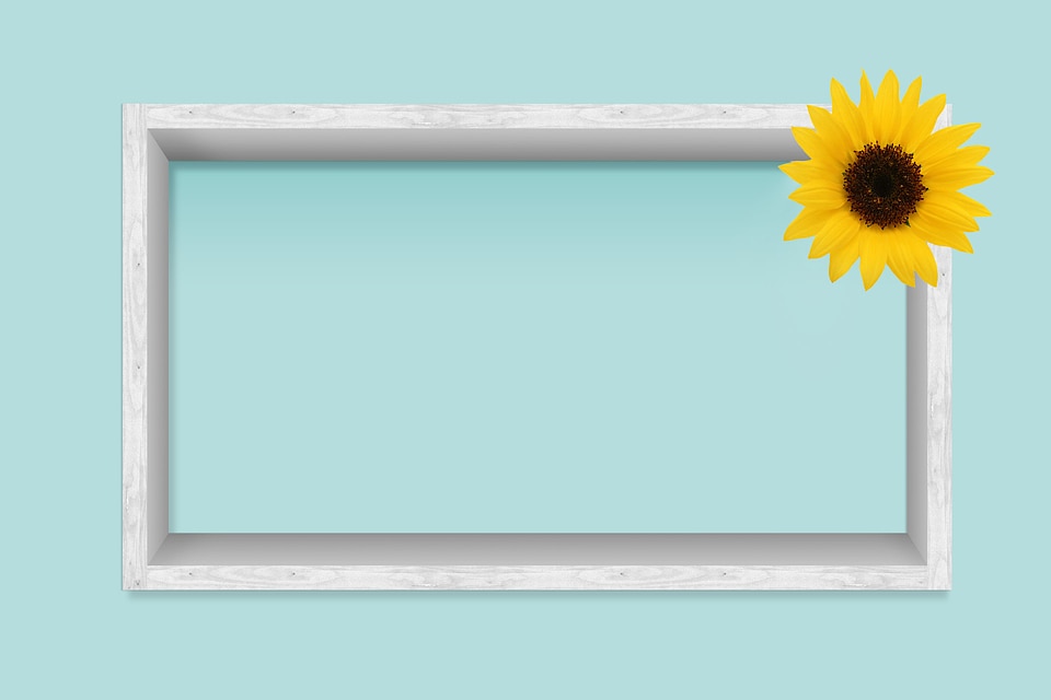 white frame with sunflower on the blue wall