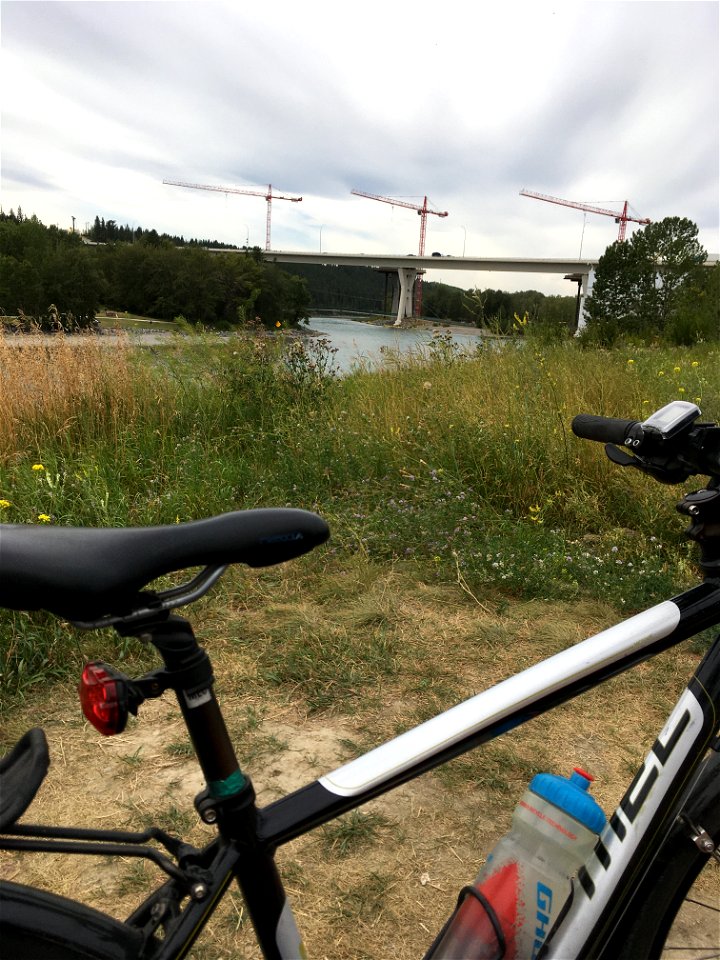 Saw Three Cranes on today’s bike ride.