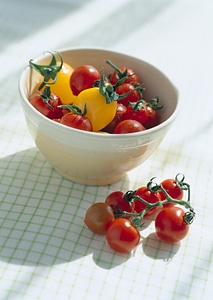 cherry tomatoes photo