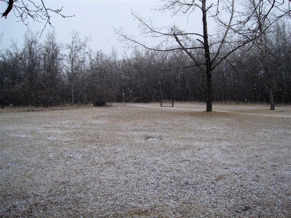 Drat, Winter Comes Knocking Again