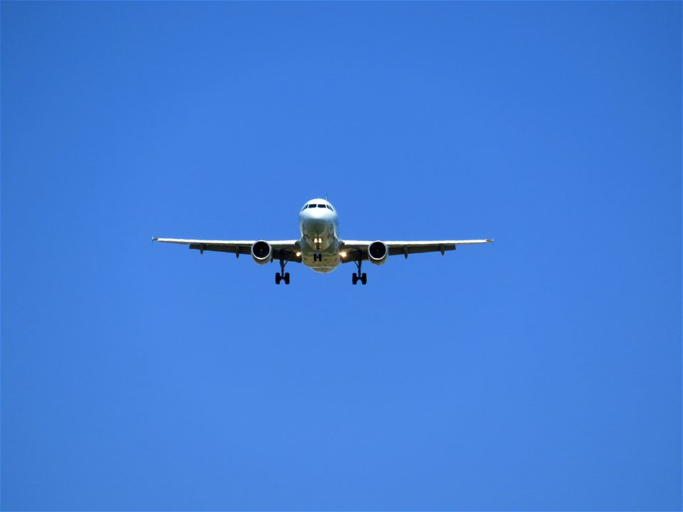 The plane boss, the plane!