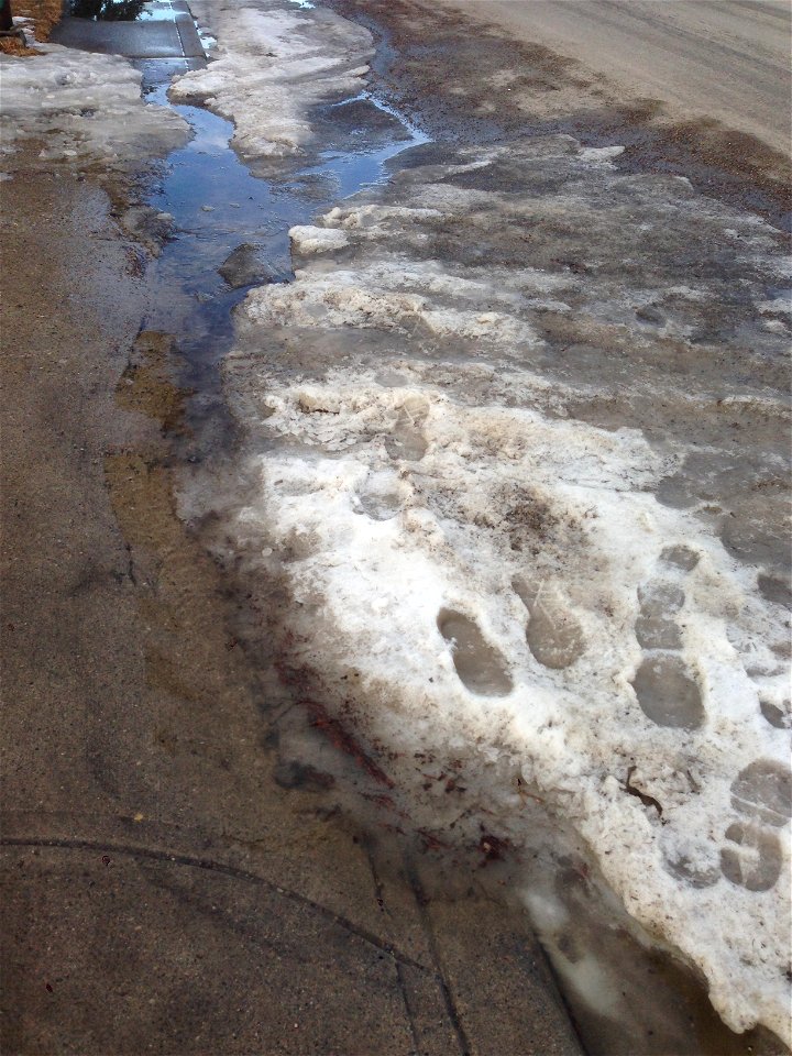 Best part of winter is watching it melt away