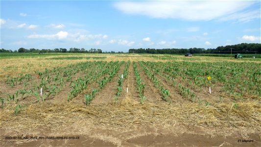 PD1-25DAS-HERB-FC-STD-CE