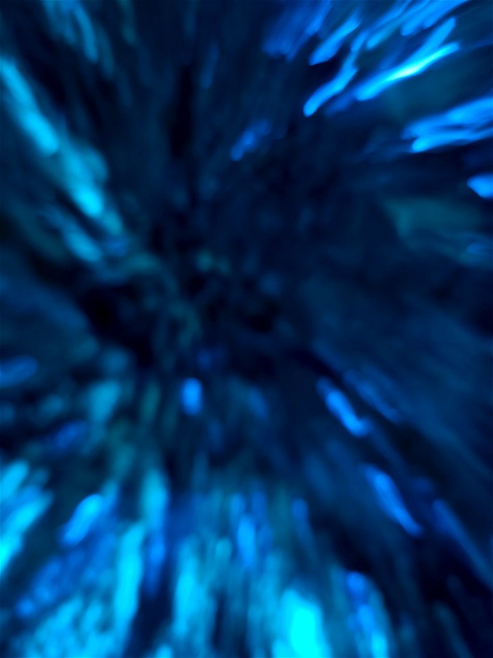 Aquatic Reflections