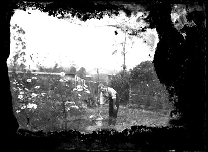 In the garden, [n.d.]