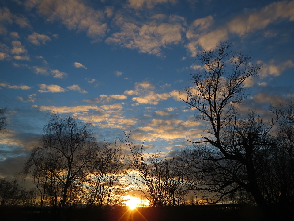 green grass on a background beautiful sunset