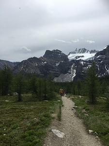 Larch Valley Trail - The Ten Peaks, Moraine Lake, Banff