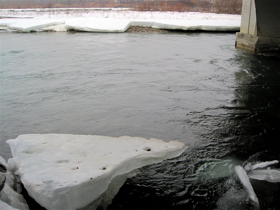 Iceberg season in Calgary Canada