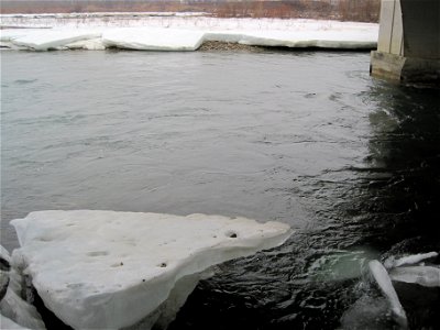 Iceberg season in Calgary Canada