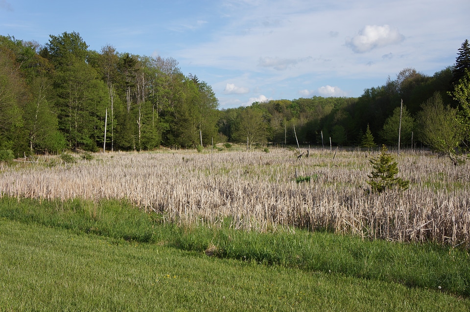 Canaan Valley, West Virginia Virginia