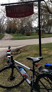 Nellie cycling in East Calgary