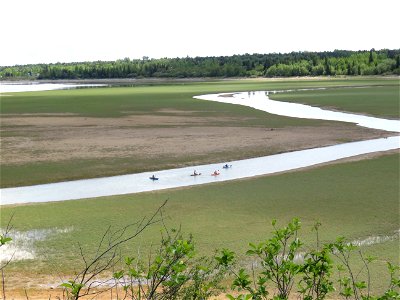 Paddling a channel in the very low Glenmore Reservoir