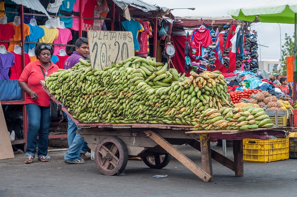selling bananas on the street