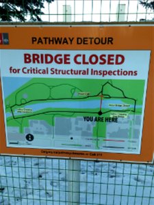 Is there a bridge medic in the house?