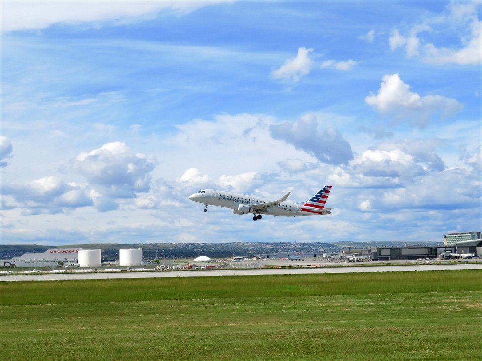 American Eagle taking off
