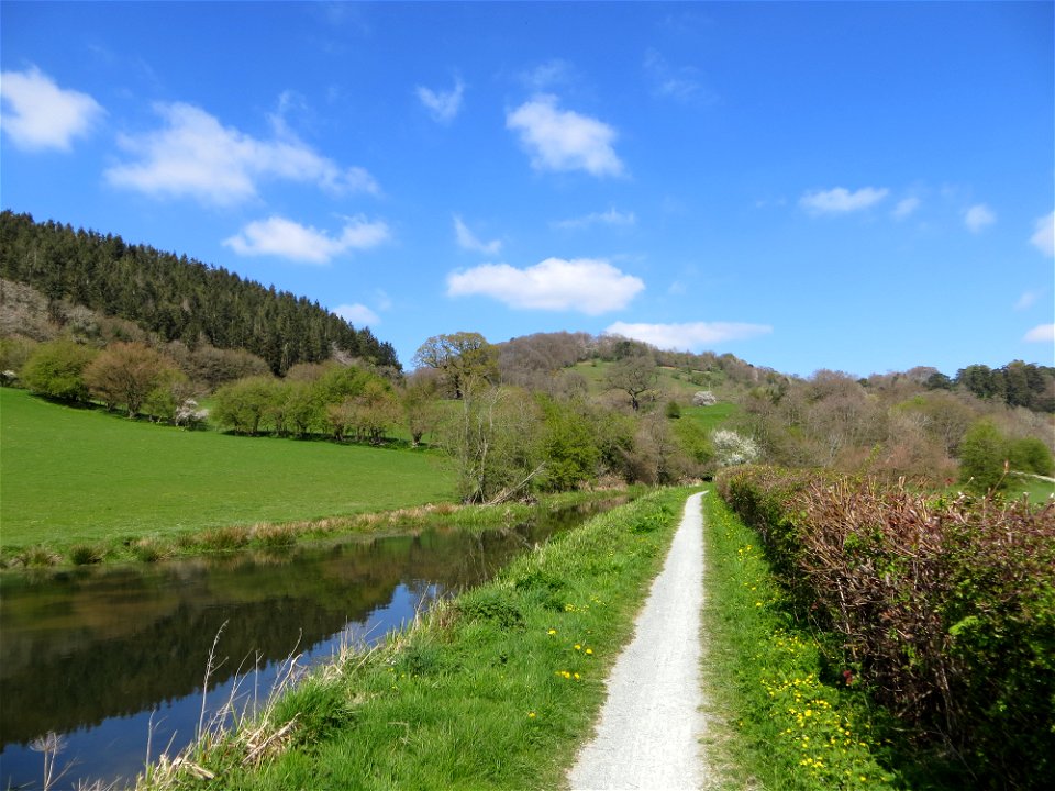 Montgomery Canal photo