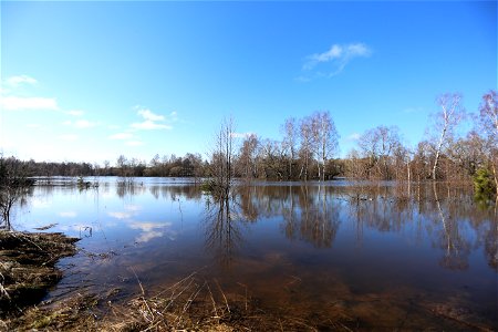 Flood on a field