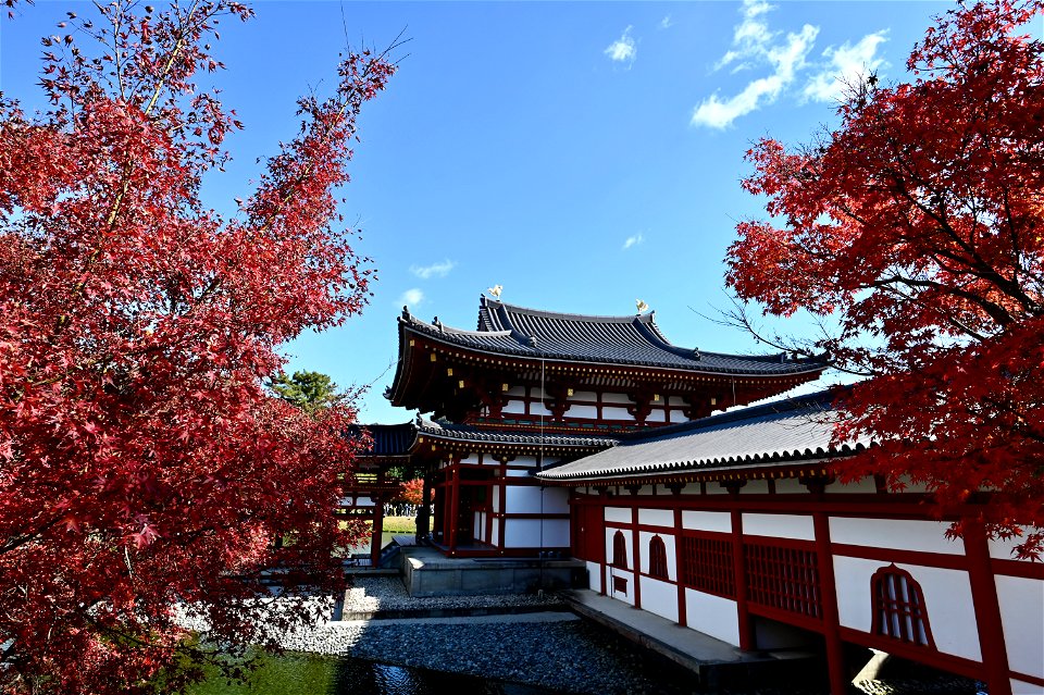 京都宇治平等院鳳凰堂 / Byodoin Hoohdo temple in Kyoto