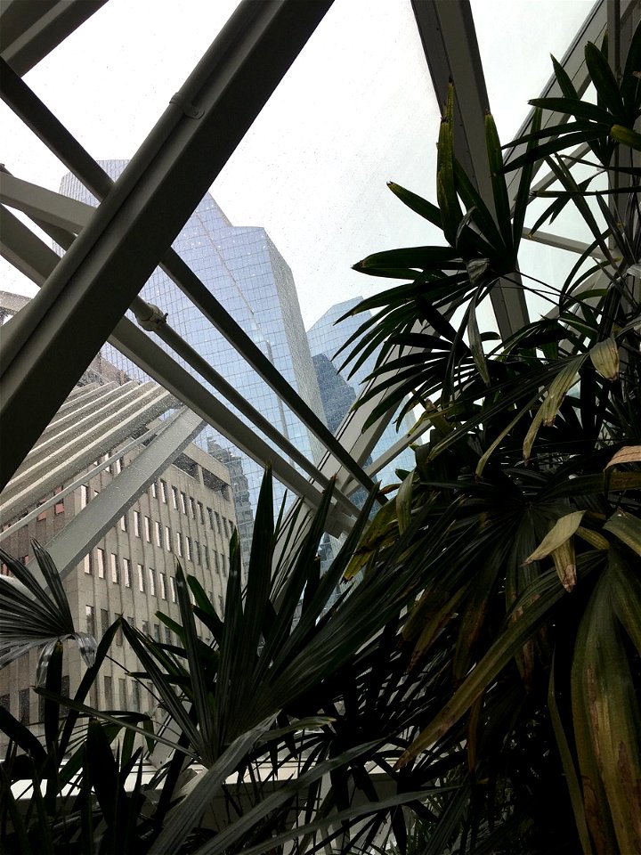 Devonian Gardens Looking Up At Calgary