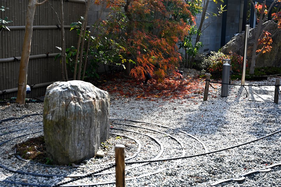 京都宇治平等院鳳凰堂 / Byodoin Hoohdo temple in Kyoto