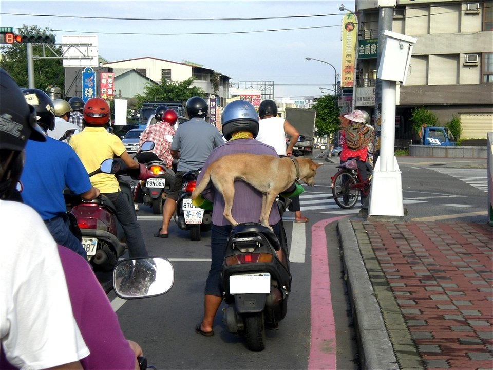 CIMG2566