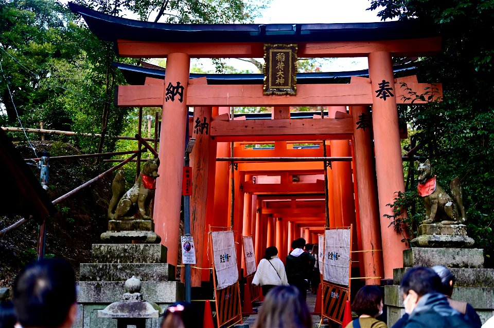 伏見稲荷/Fushimi Inari Shrine