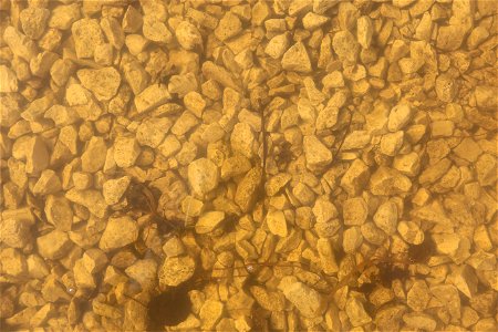 Murky water