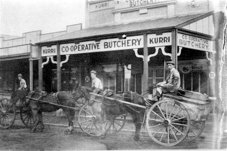 Three gentlemen with horses and carts outside Kurri Co-operative Butchery, Kurri Kuurri, NSW, [n.d.]