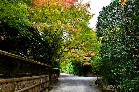 京都龍安寺/Kyoto Ryoanji