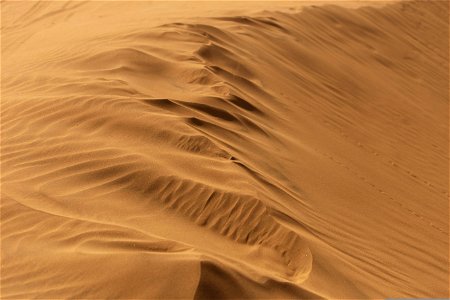 پارک ملی کویر در ایران