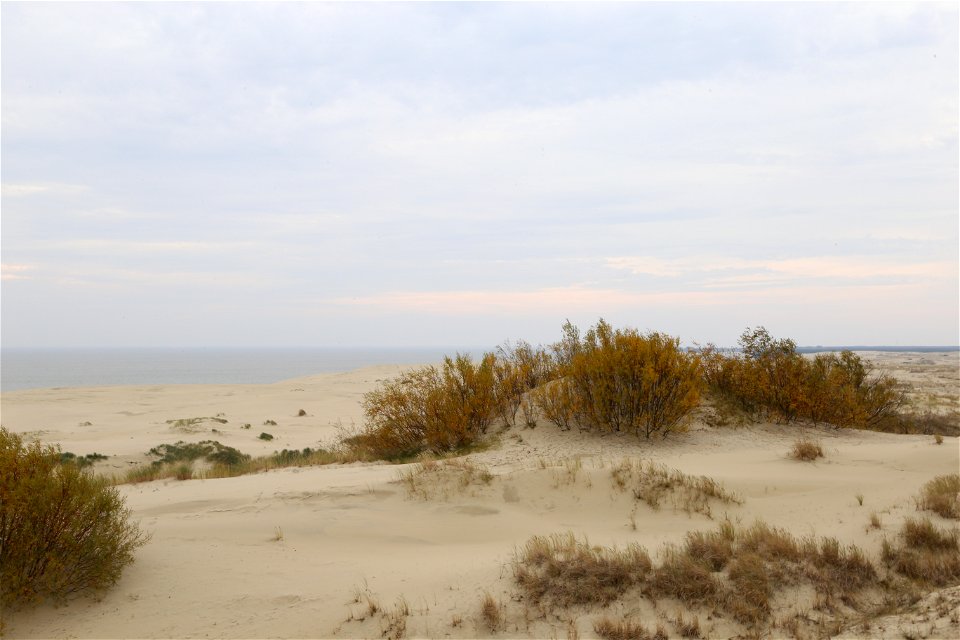 Curonian Spit sand