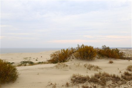 Curonian Spit sand