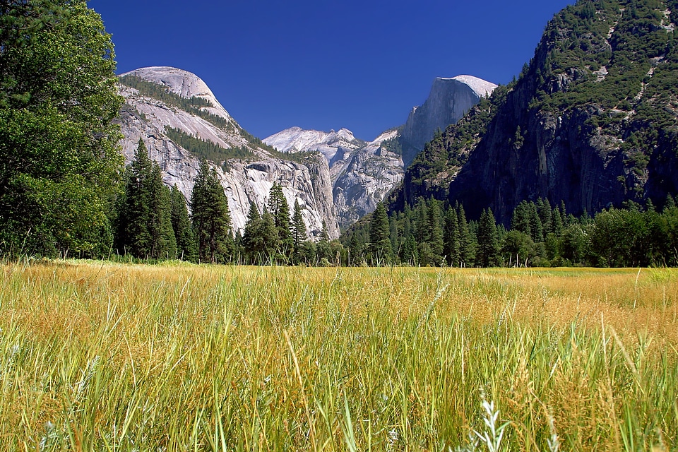Yosemite National Park , California