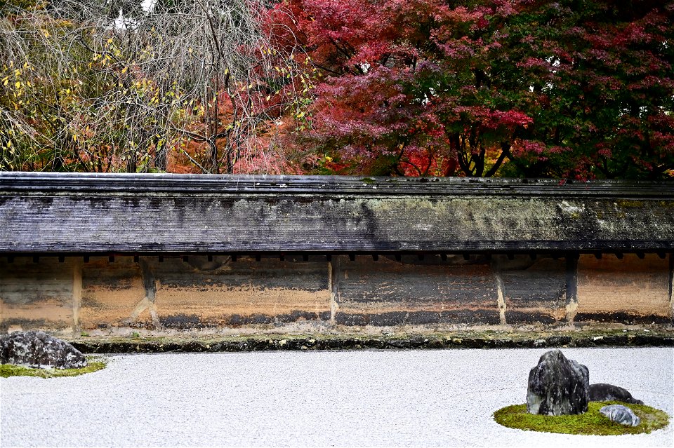 京都龍安寺/Kyoto Ryoanji