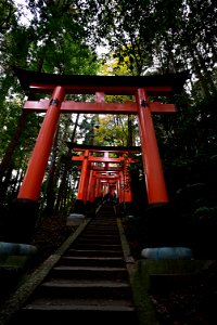 伏見稲荷/Fushimi Inari Shrine photo