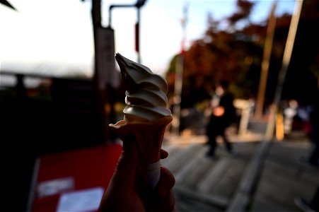 伏見稲荷/Fushimi Inari Shrine