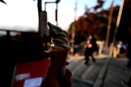 伏見稲荷/Fushimi Inari Shrine photo