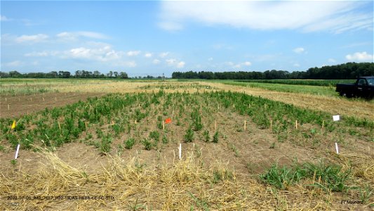 PD2-13DAS-HERB-CE-FC-STD