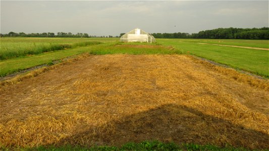HT1B-tarp-removed